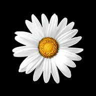 Implenia logo